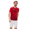 Комплект HINCHA (футболка+шорты) 3981509.660