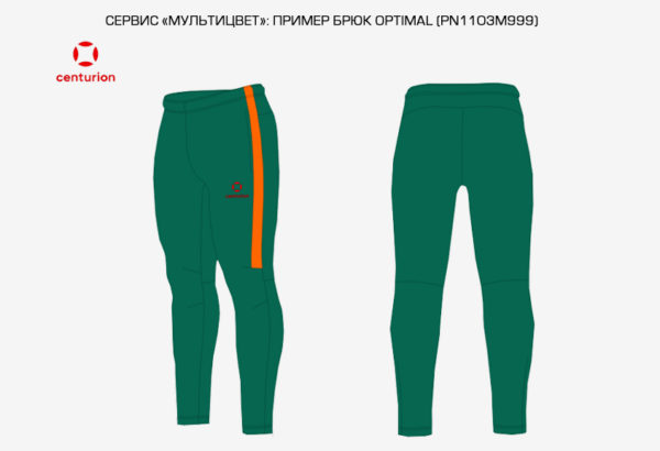 52518497E92070EAE063140AA8C02ECF Брюки спортивные с молнией OPTIMAL PN1103M999