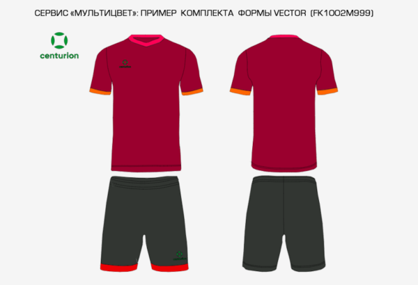 59DD8EEEDD15F472E063140AA8C0EA8C Комплект спортивный VECTOR (футболка; шорты) FK1002M999