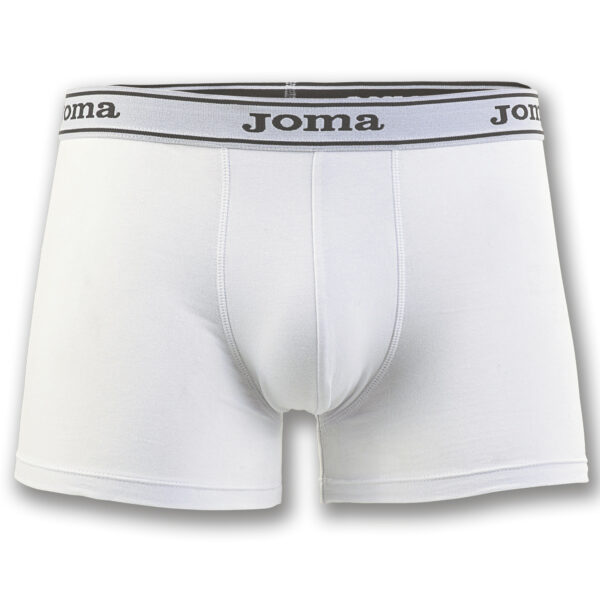 F6C98E1E9F6837E6E05550540090B39E Трусы BOXER BRIEFS 100808.200