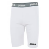 F6DD1C2C84132BA1E05550540090B39E Шорты (подтрусники) WARM FLEECE 932.100