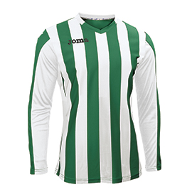 F6DE276851663FC0E05550540090B39E Рубашка COPA 100002.450