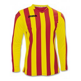 F6DE2768516F3FC0E05550540090B39E Рубашка COPA 100002.609