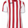 Футболка COPA 100001.600