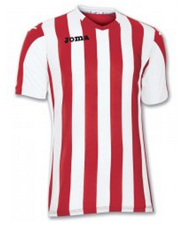 Футболка COPA 100001.600