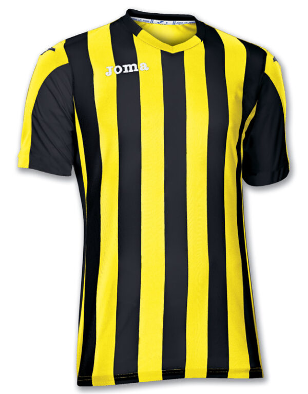 Футболка COPA 100001.900