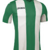 F6DEA1A01D0F47CAE05550540090B39E Футболка PISA V 100403.450