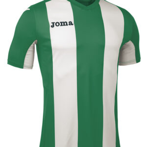 F6DEA1A01D0F47CAE05550540090B39E Футболка PISA V 100403.450