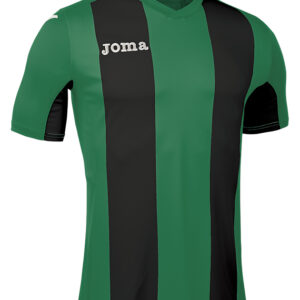 F6DEA1A01D1247CAE05550540090B39E Футболка PISA V 100403.451