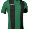 Футболка PISA V 100403.451