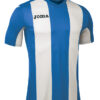 F6DEA1A01D1847CAE05550540090B39E Футболка PISA V 100403.700