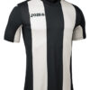 F86E6FDCA1B31072E05550540090B39E Футболка PISA V 100403.100