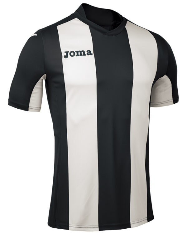 F86E6FDCA1B41072E05550540090B39E Футболка PISA V 100403.100