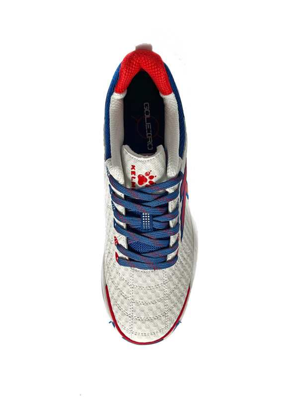 Футзальная обувь GOLEIRO 55963-172
