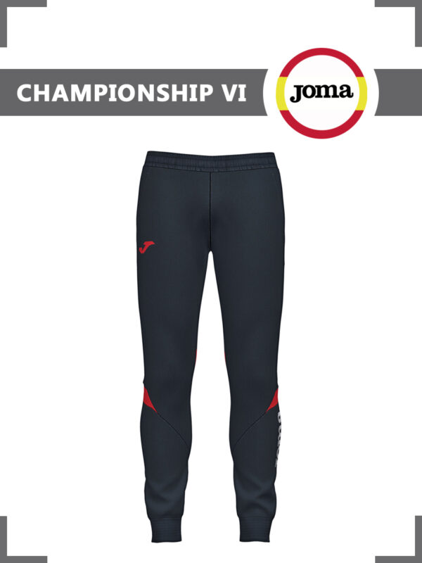 FB7A92E87FA96A71E05550540090B39E Брюки CHAMPIONSHIP VI 102057.106