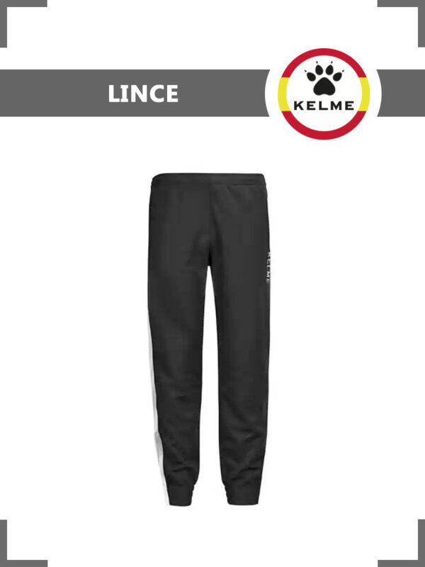 FB7E6B6AB59C37BBE05550540090B39E Брюки LINCE 71291.138