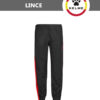 FB7E6C6F85023A6FE05550540090B39E Брюки LINCE 71291.148