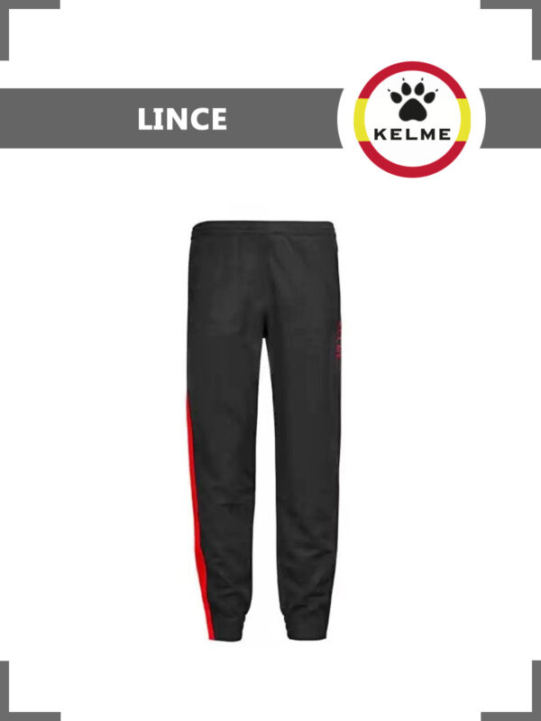 FB7E6C6F85023A6FE05550540090B39E Брюки LINCE 71291.148