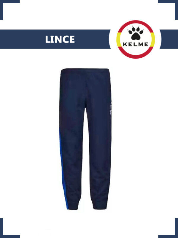 FB7EC638B16D38A2E05550540090B39E Брюки LINCE 71291.93