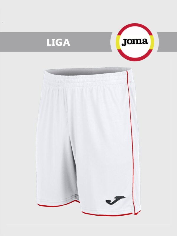 FBF8D358B3A2019FE05550540090B39E Шорты LIGA 101324.206