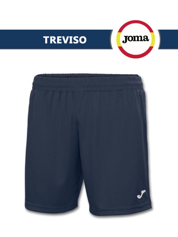 FC727DE75558366AE05550540090B39E Шорты TREVISO 100822.331