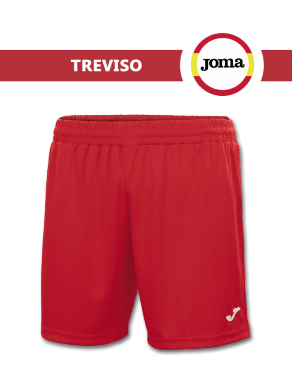 FC727DE7555C366AE05550540090B39E Шорты TREVISO 100822.600