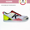 FD610A84F5DA77D1E05550540090B39E Футзальная обувь HAWK 55434-100