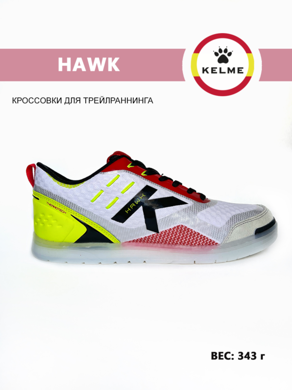 FD610A84F5DA77D1E05550540090B39E Футзальная обувь HAWK 55434-100