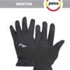 Перчатки WINTER11-101