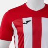 Футболка игровая INTER VI 105307.602